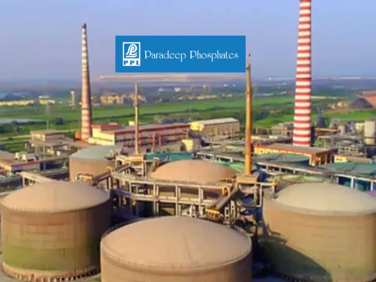 Paradeep Phosphates Q2 Results: Net profit up over 76% at Rs 89.43 crore on higher income 