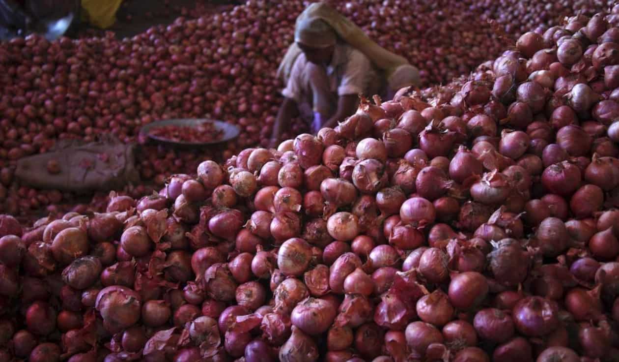 Besides Delhi-NCR, NCCF to sell onion at subsidised rate of Rs 25/kg in other states too