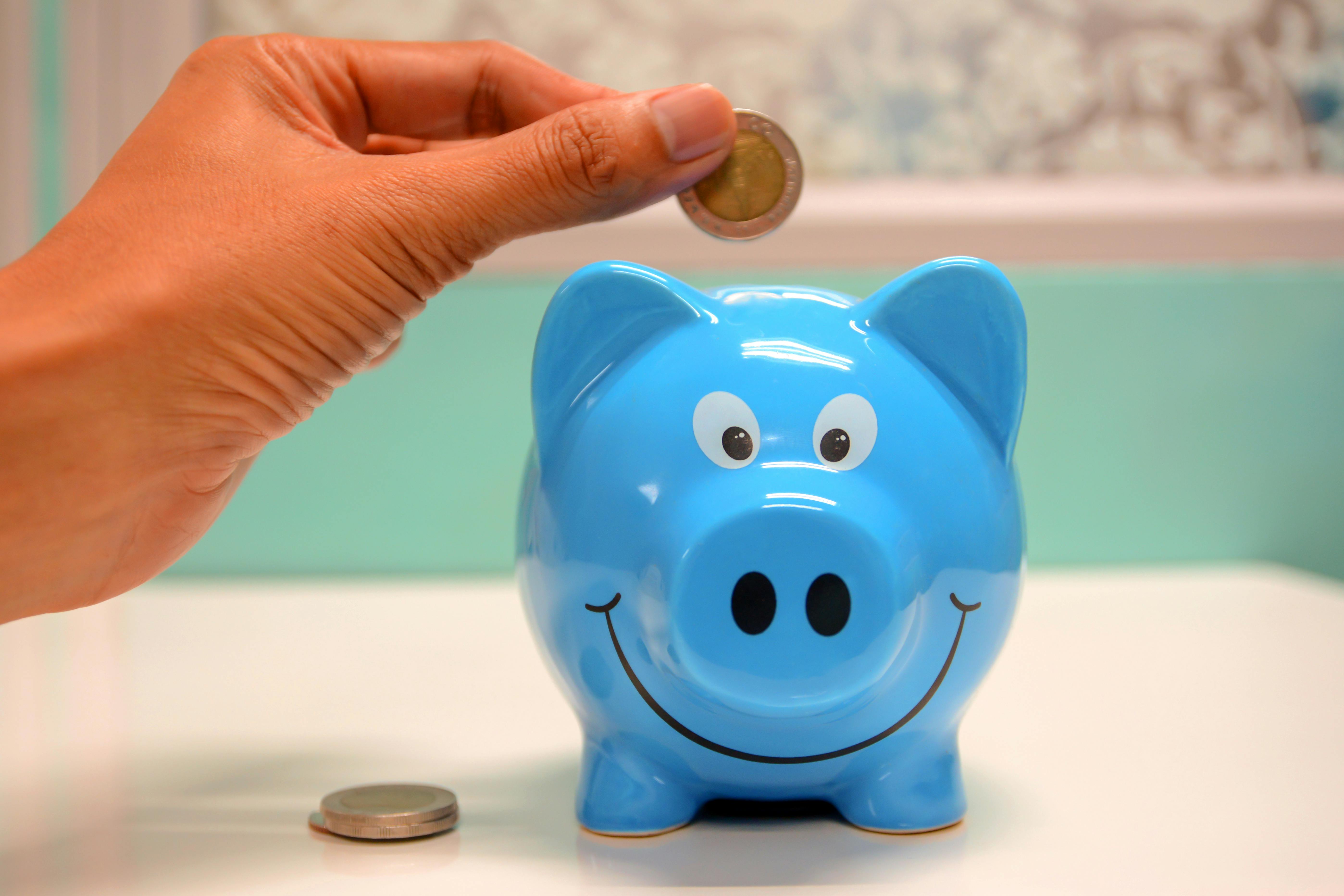 Mutual Funds: Want to invest in small-cap funds? Here's an expert guide