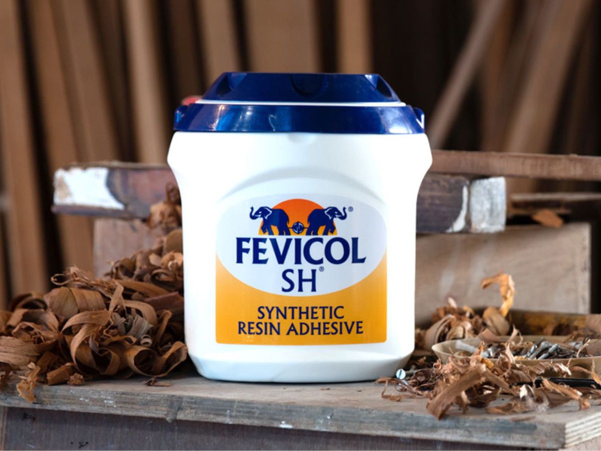 Pidilite Industries Q2 results: Profit rises 35.8% to Rs 458.53 crore