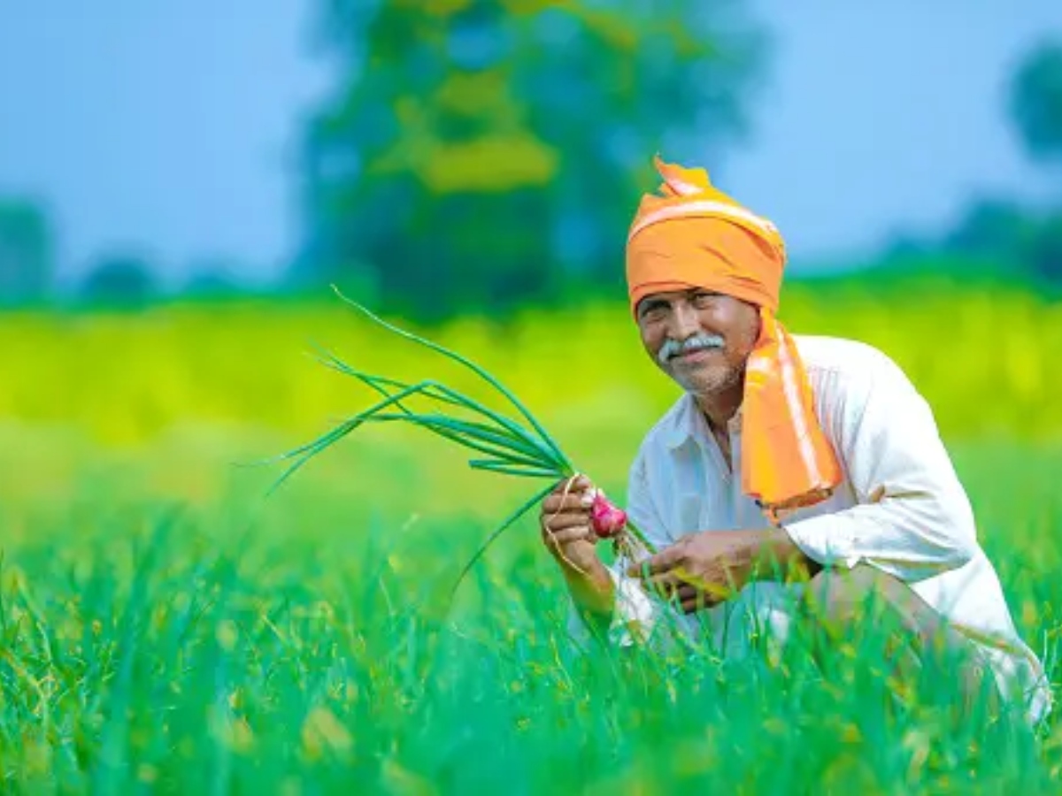 PM Kisan 15th installment: Check reasons for not credited, delay, follow these steps to receive Rs 2000 in your account