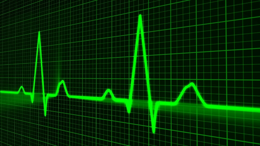 RateGain Tech shares gain after firm announces Qualified Institutional Placement