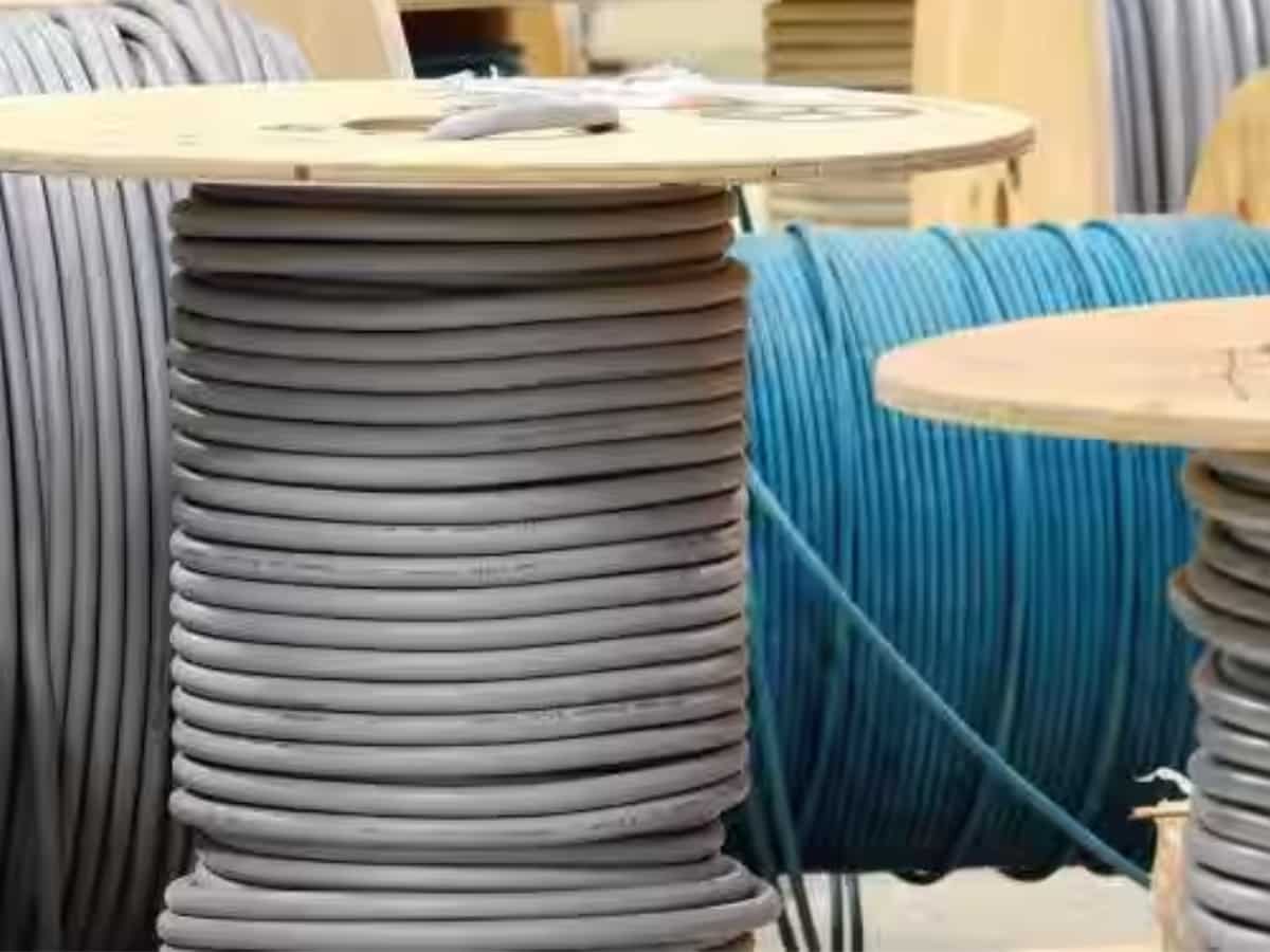 Goldman Sachs sees Cables & Wires sector benefiting from the infra push; stocks mixed
