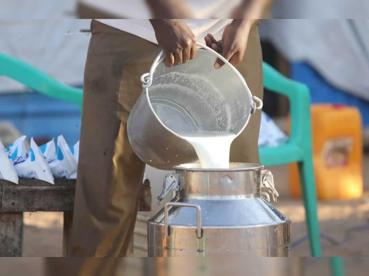 Milk output up 4% to 230.58 million tonnes in 2022-23: Govt 