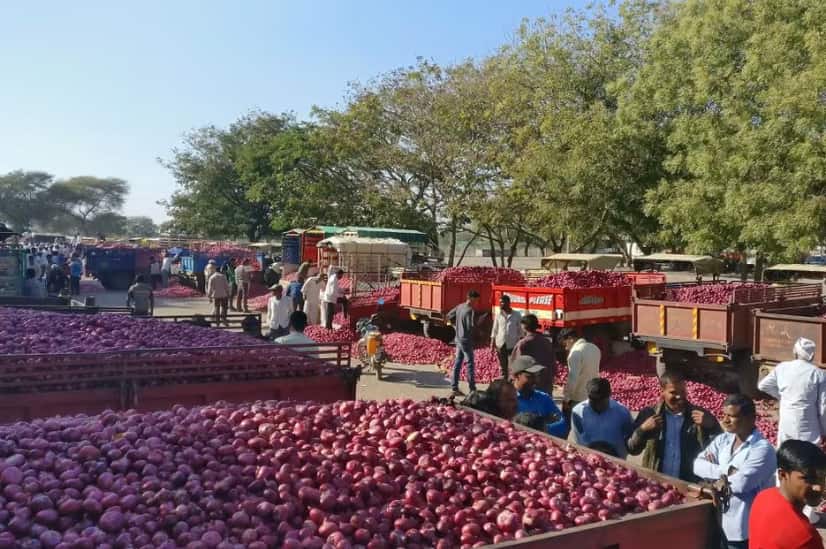 Onion prices rise by 20% after heavy rains in Maharashtra
