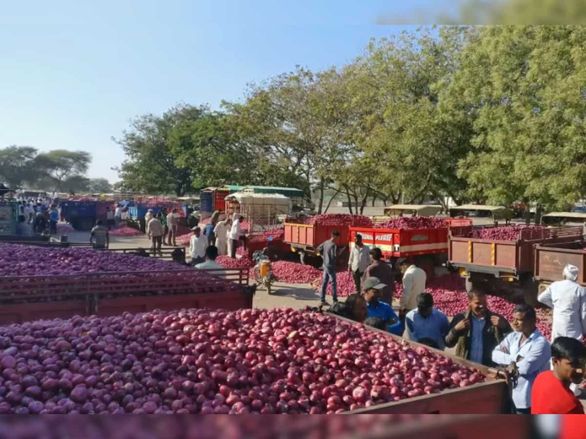 Onion prices rise by 20% after heavy rains in Maharashtra