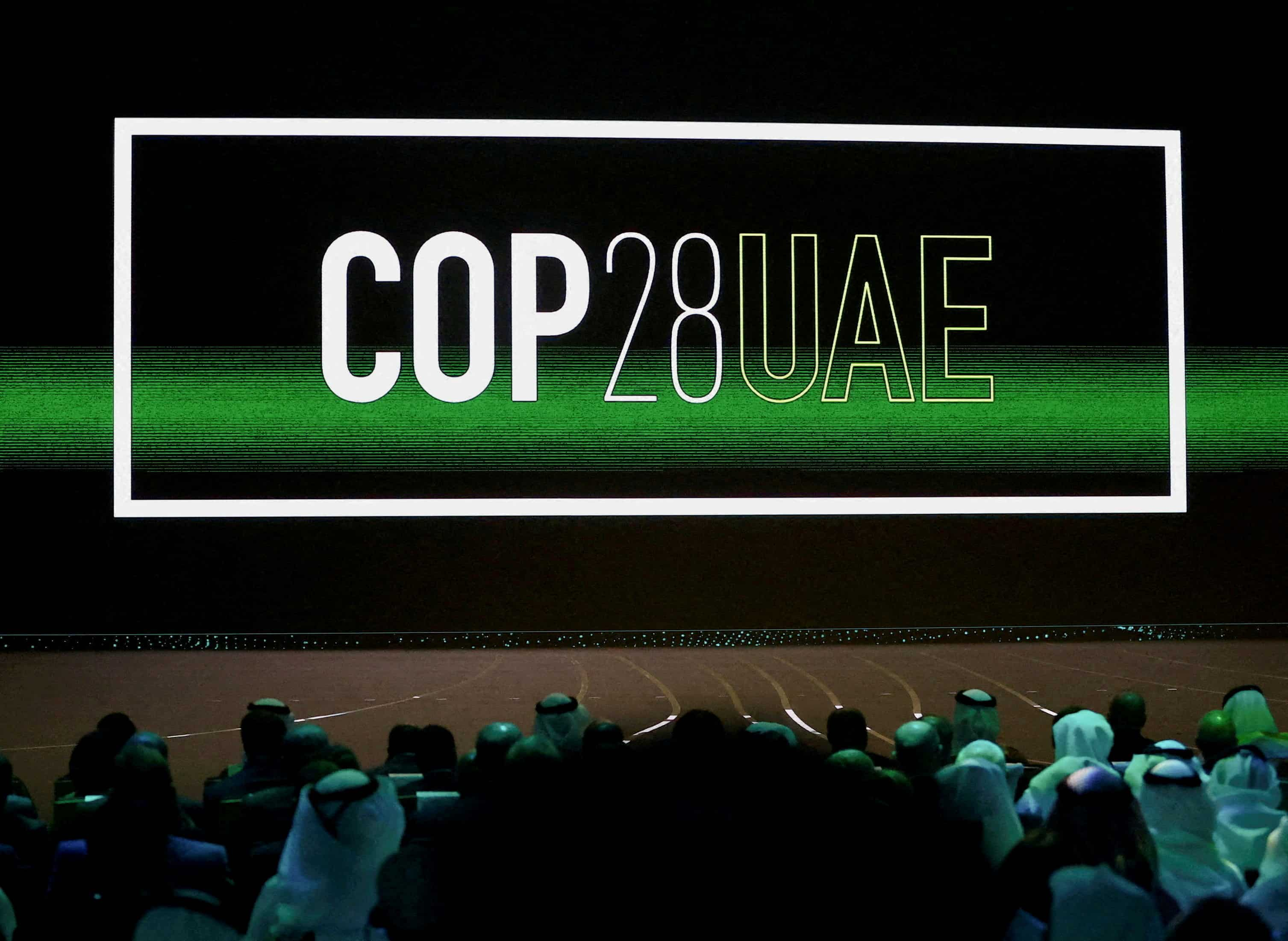 India Should Not Take New Commitments At COP28 Climate Talks In Dubai ...