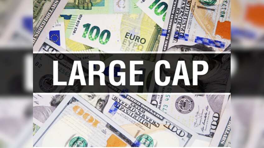 Large-cap funds: Navigating market volatility for optimal returns