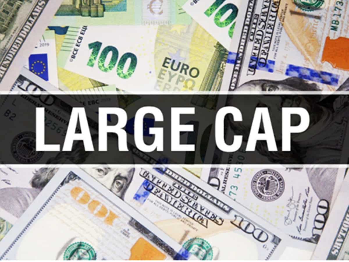 Large-cap funds: Navigating market volatility for optimal returns