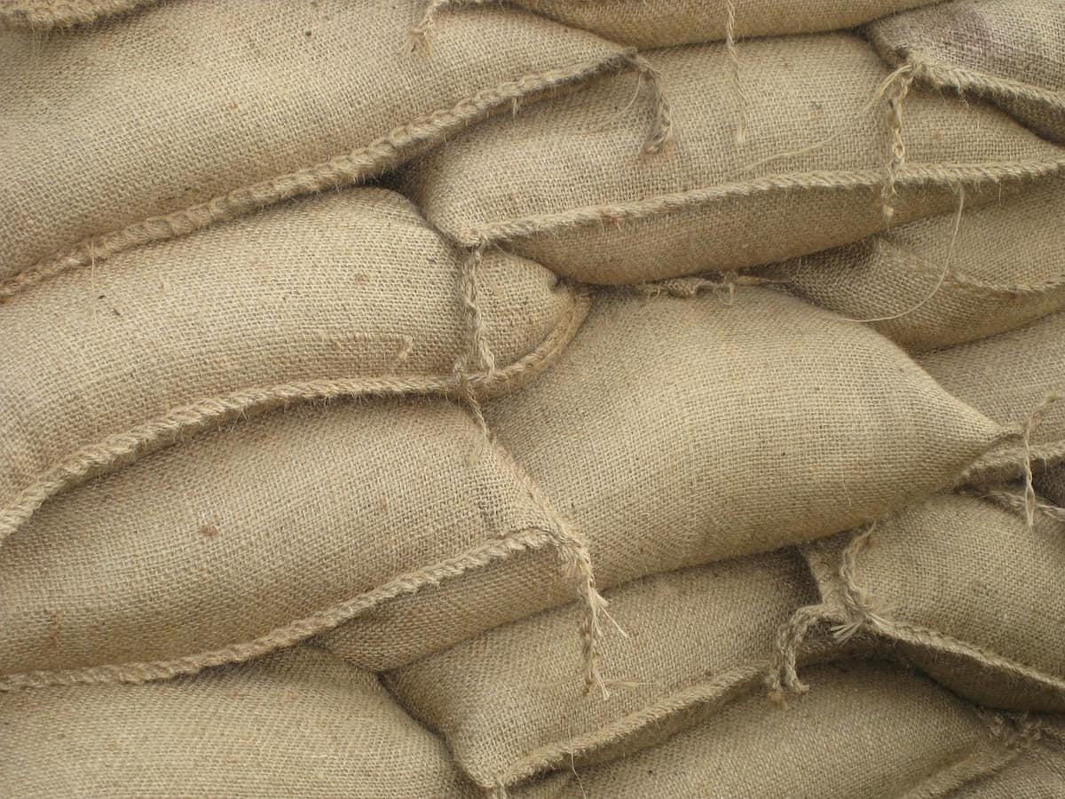 Government approves 100% packaging of food grains in jute bags
