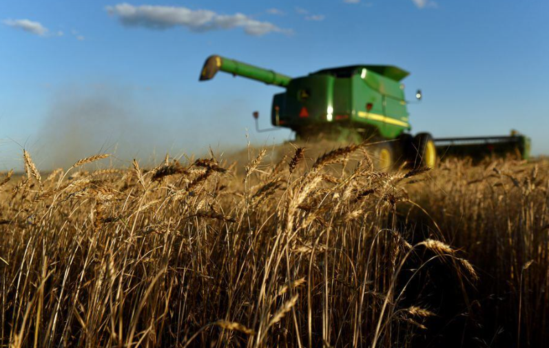 Agri-commodities exports decline to 17.93 lakh tonnes in