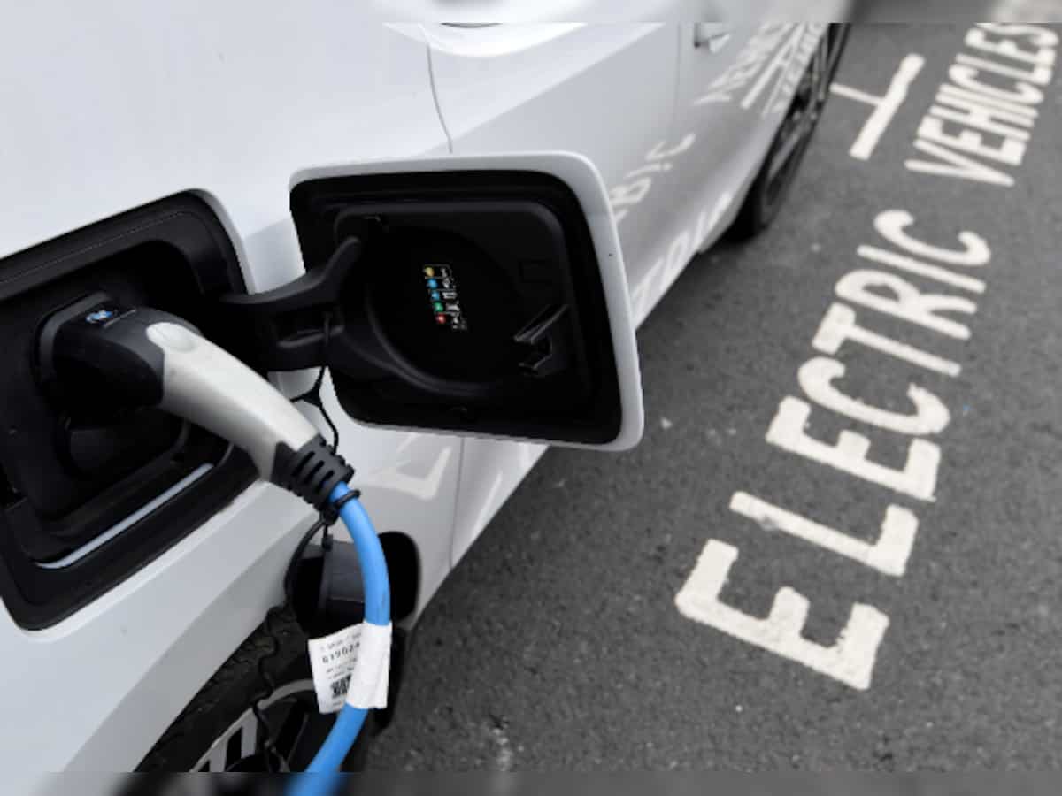 Need to follow consistent EV policy, no need for company-specific sops: FICCI EV Committee Chair