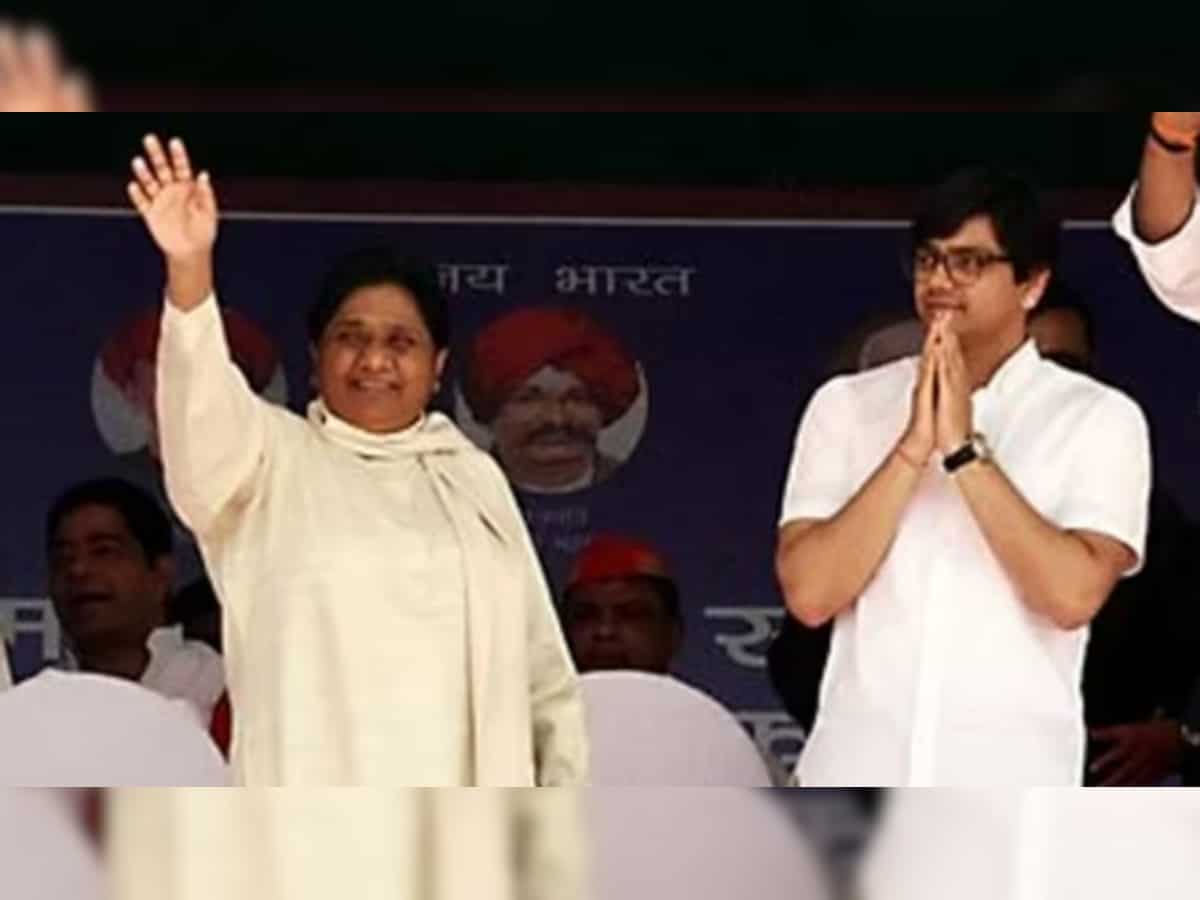 Mayawati appoints nephew Akash Anand as successor to lead BSP
