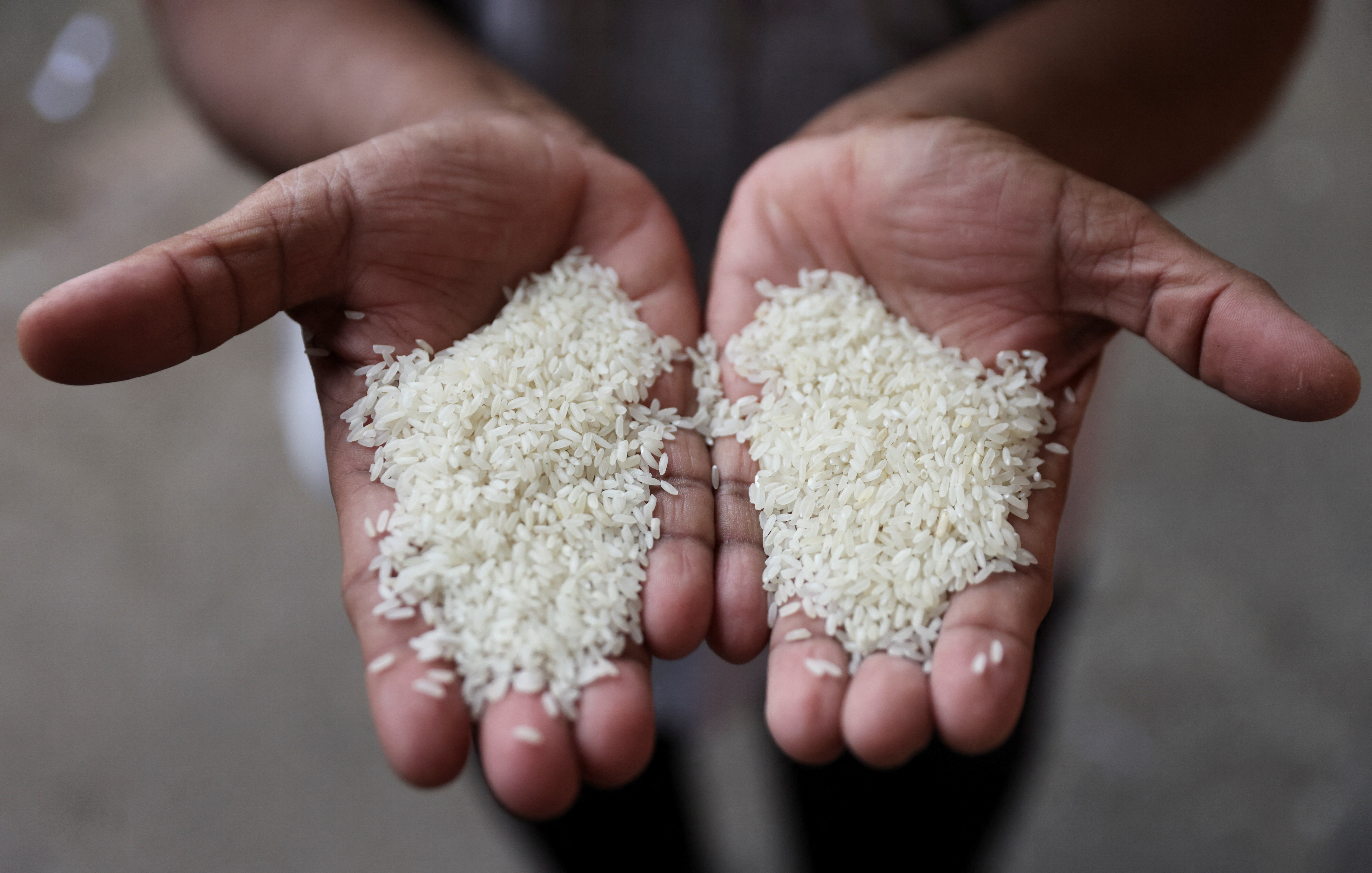 Rice exports to certain European nations exempted from