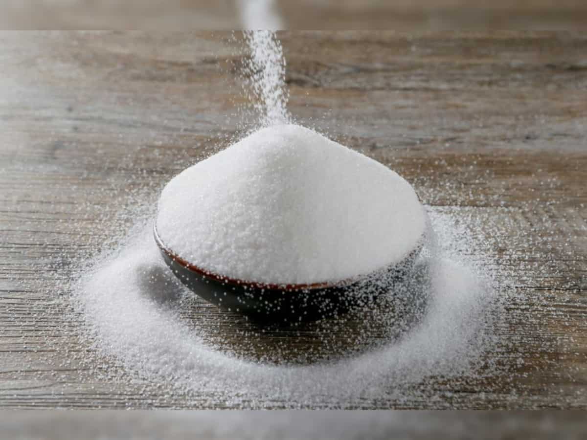 Sugar output down 11% at 74 lakh tons during October 1 -December 15 of 2023-24 marketing years 
