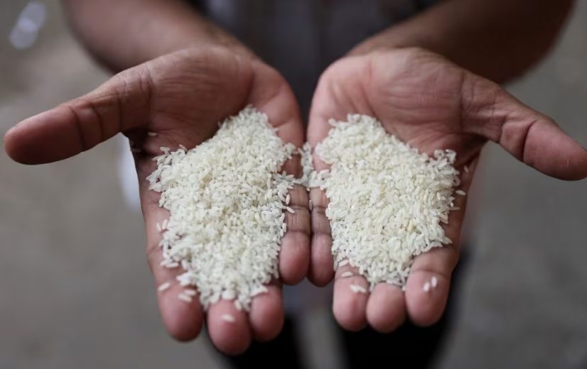 Government closely monitors rice situation in domestic, and