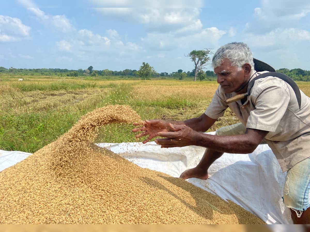 Agri exports likely to reach USD 53 billion this fiscal despite curbs on key commodities: Official 