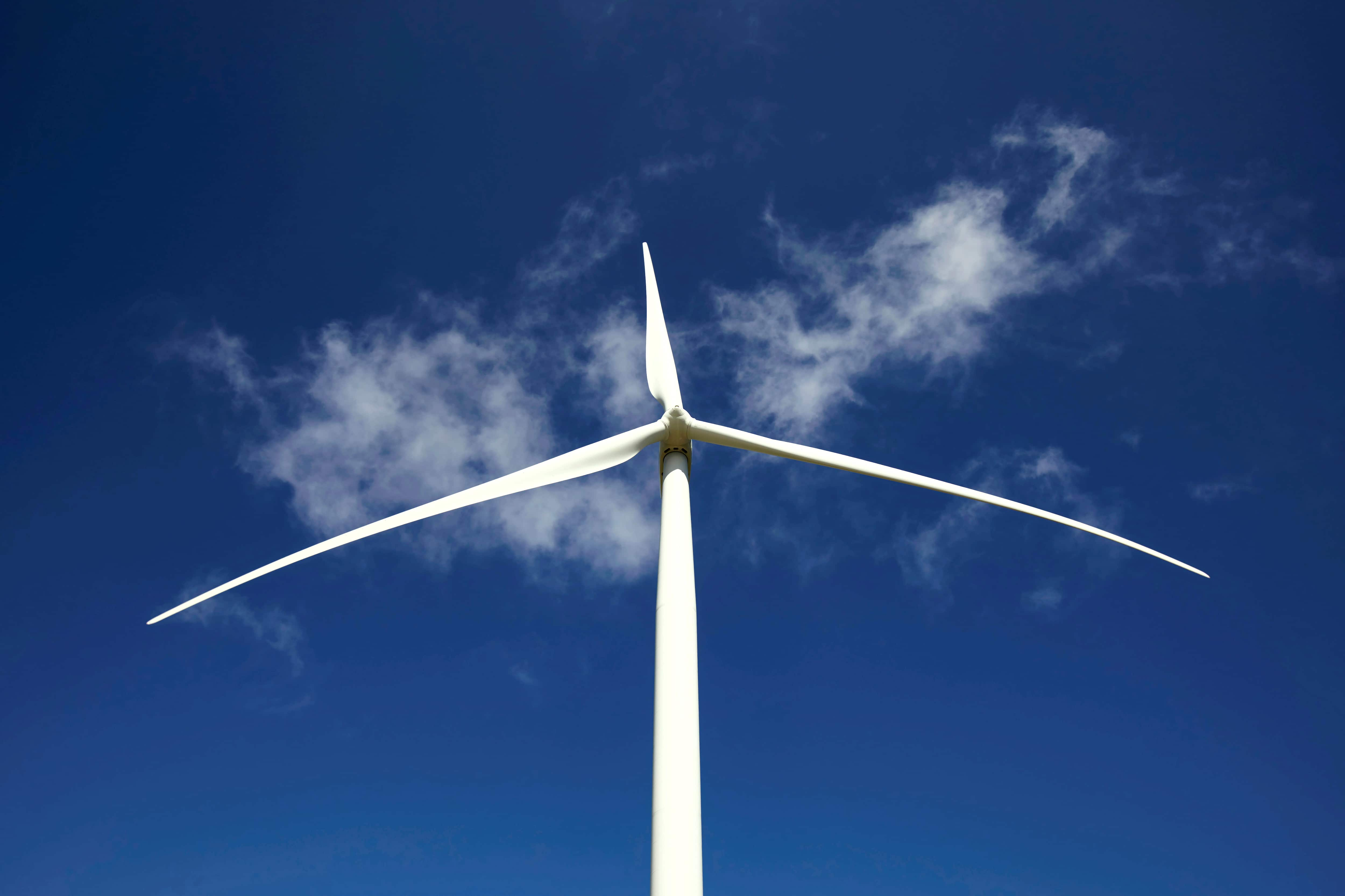 Inox Wind shares clock 52-week high as the company bags 279 MW order 