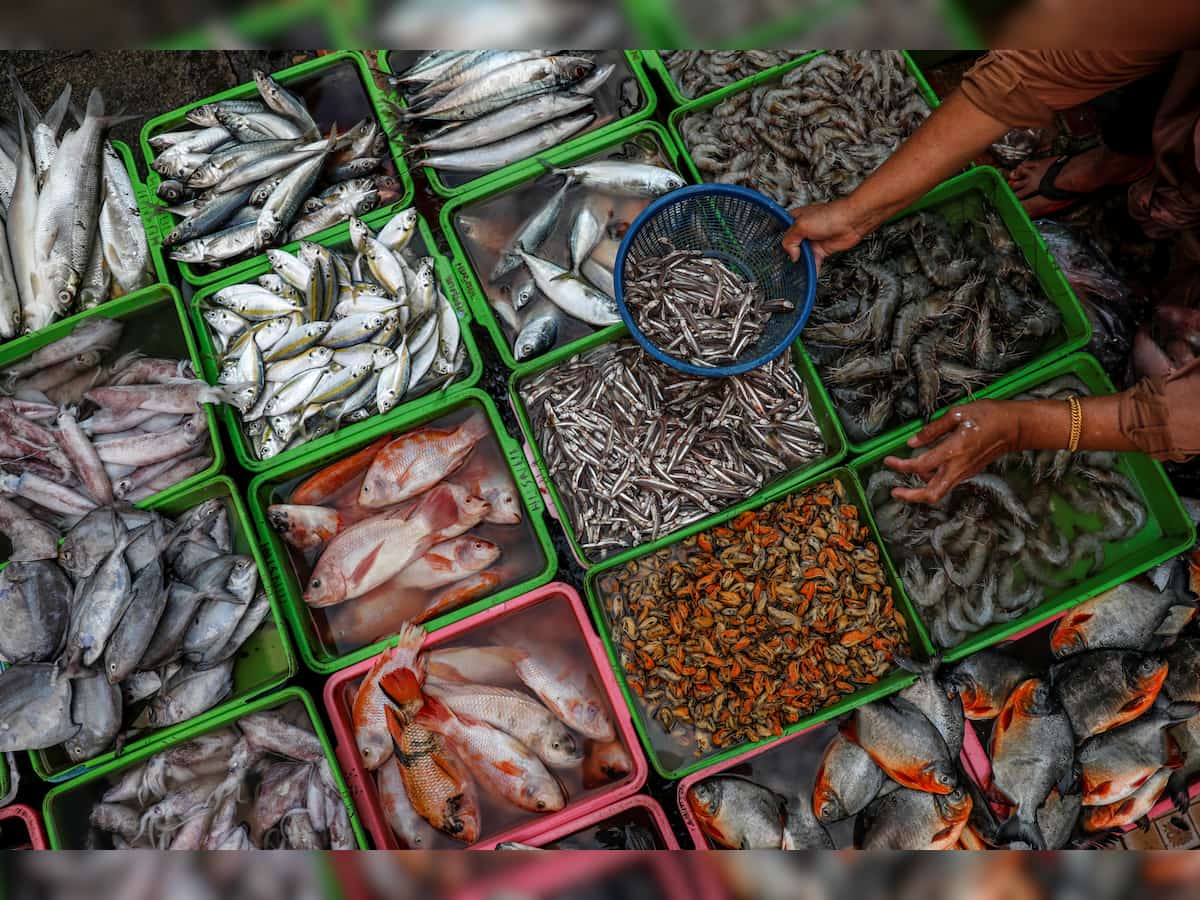 Centre asks states to speed up infra development in fisheries sector 
