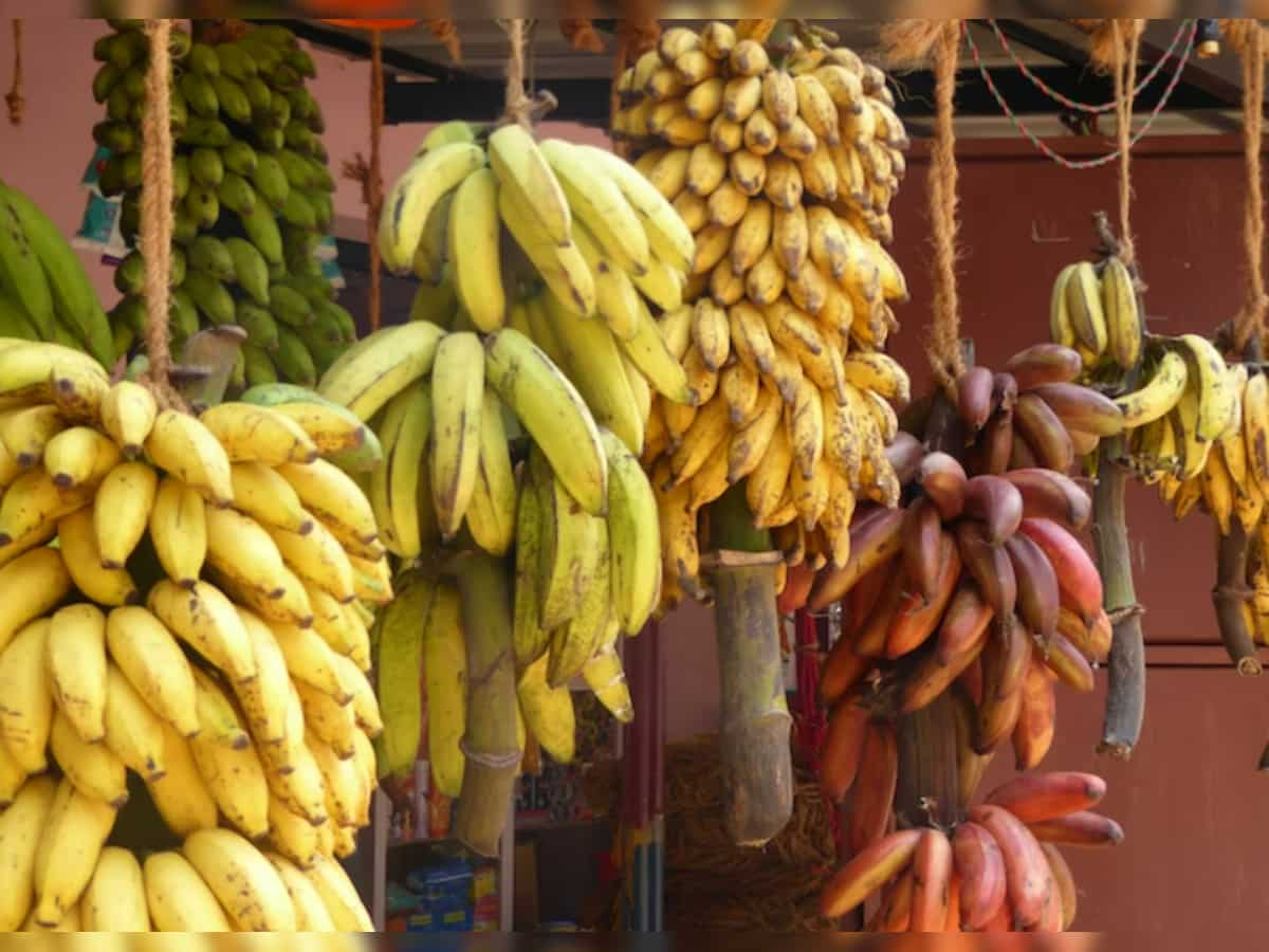 India aims at $1 billion fresh banana exports in next 5 years 