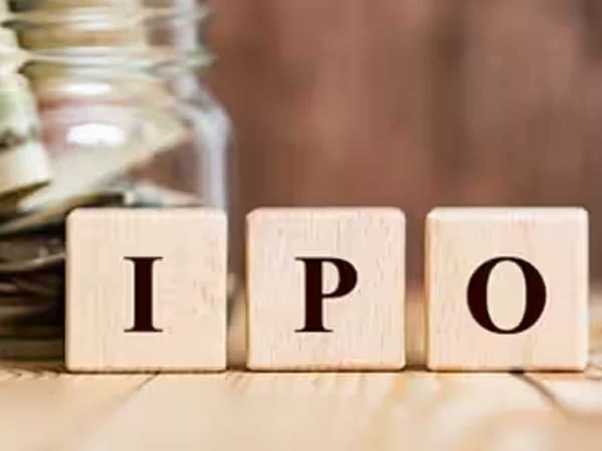 AIK Pipes and Polymers IPO: Check subscription status and other details 
