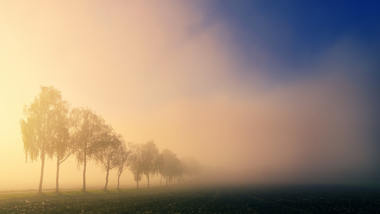 Temperatures marginally rise in Punjab, Haryana; morning fog