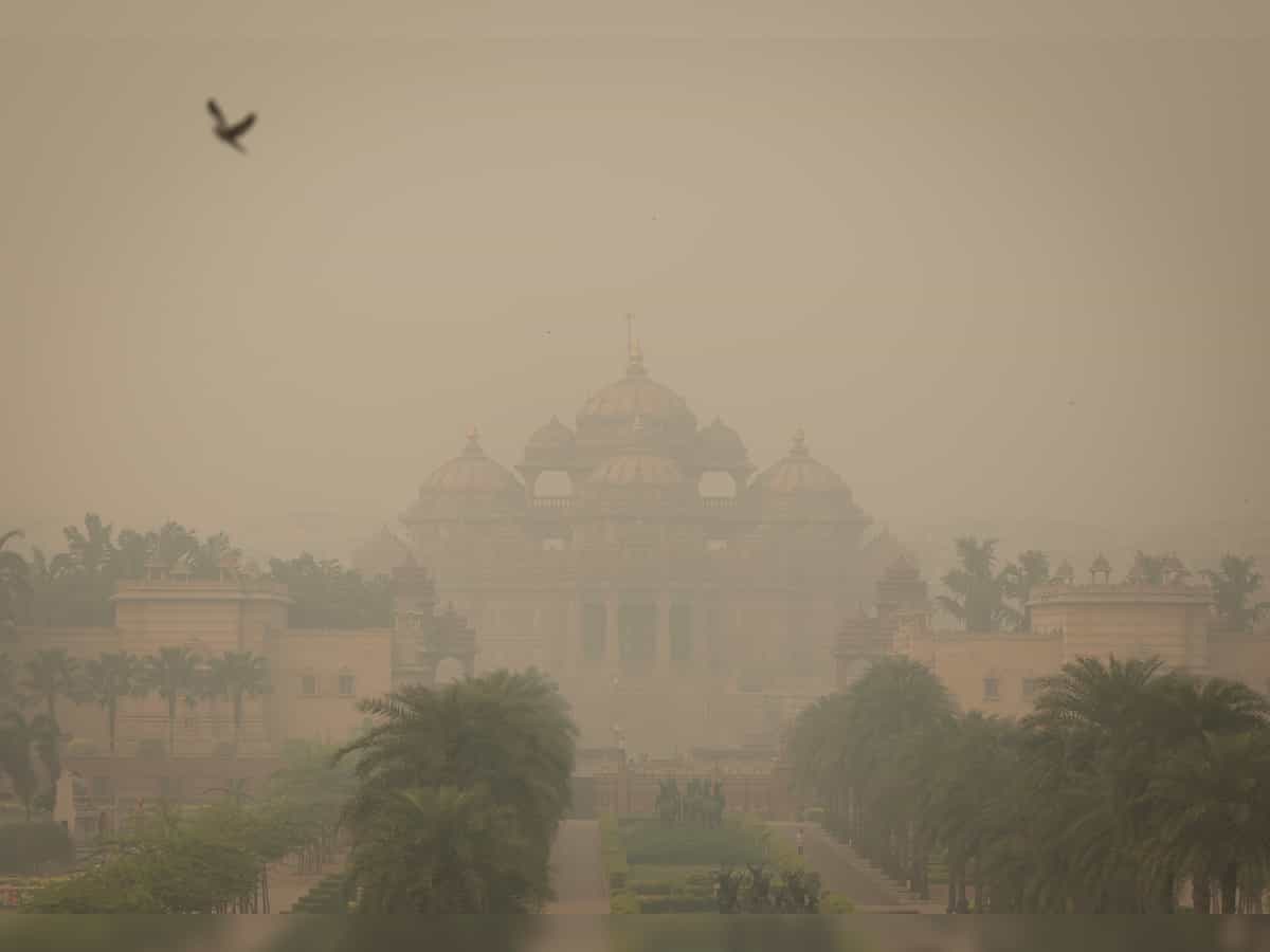 Delhi welcomes 2024 with shallow fog, 'very poor' air
