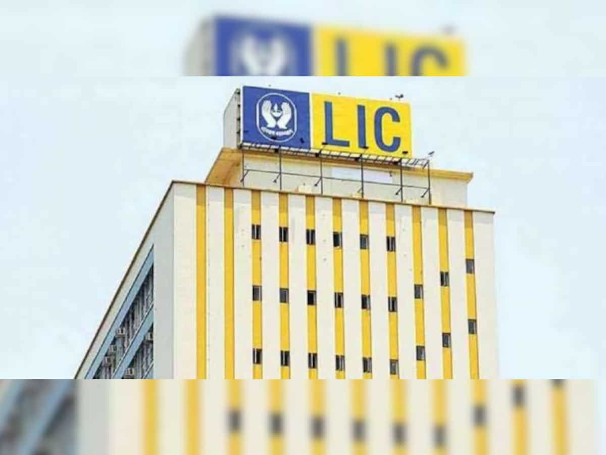 As LIC hits a 52-week high, here are reasons why it can rise or fall in new year
