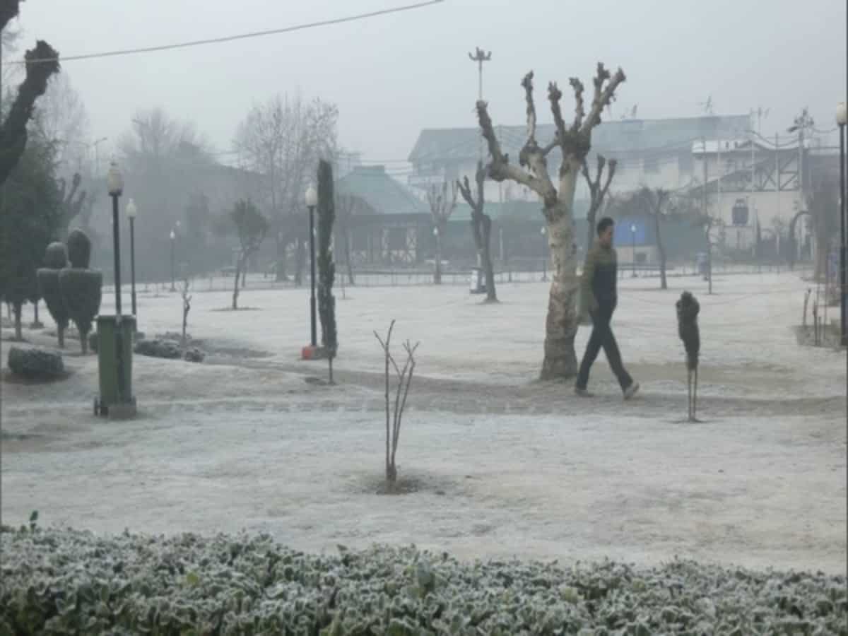 Weather Update: Cold wave-like conditions in Kashmir; thin sheet of ice over Dal Lake