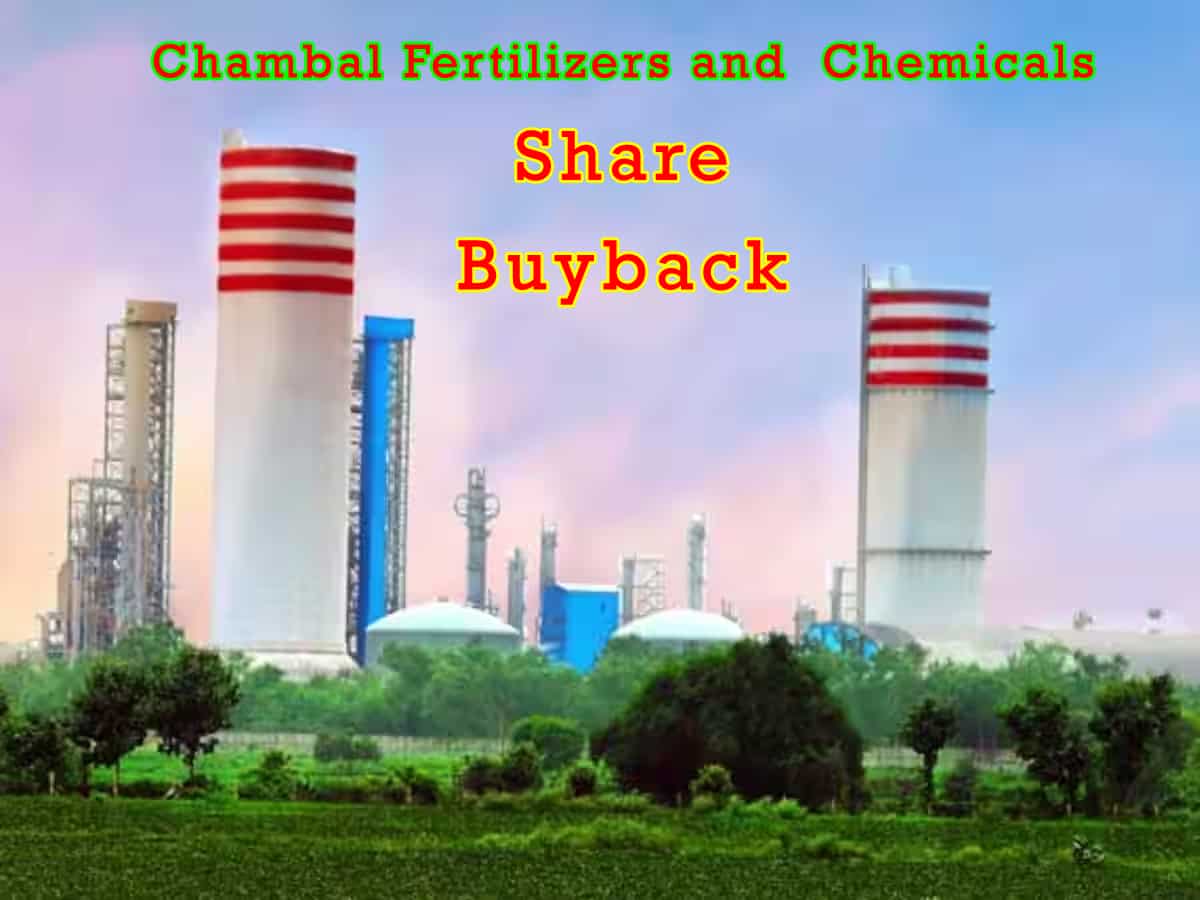 Chambal Fertilizers stock in focus as board approves buyback - Details 