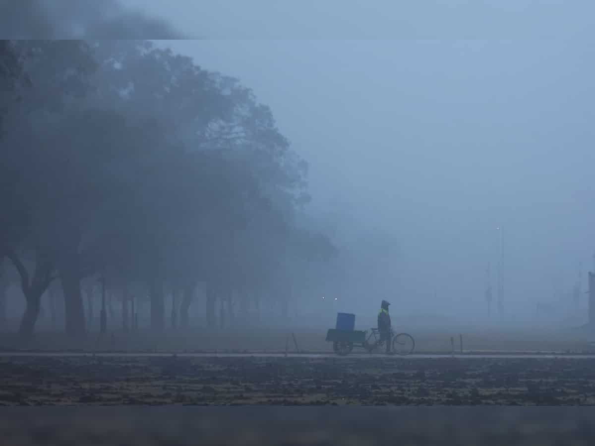 Cold day conditions persist in Delhi, maximum temperature settles four notches below normal 