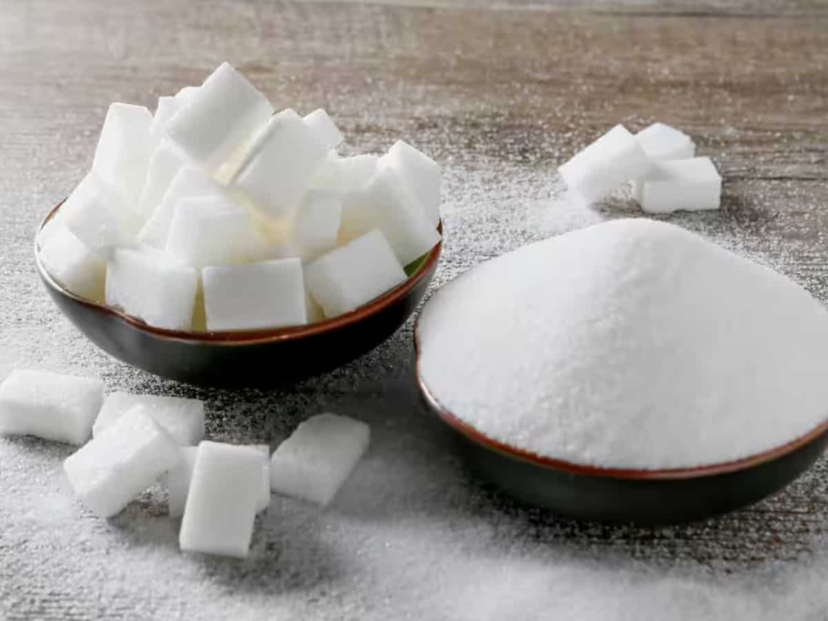 Sugar stocks rise after Centre imposes 50% export duty on molasses 