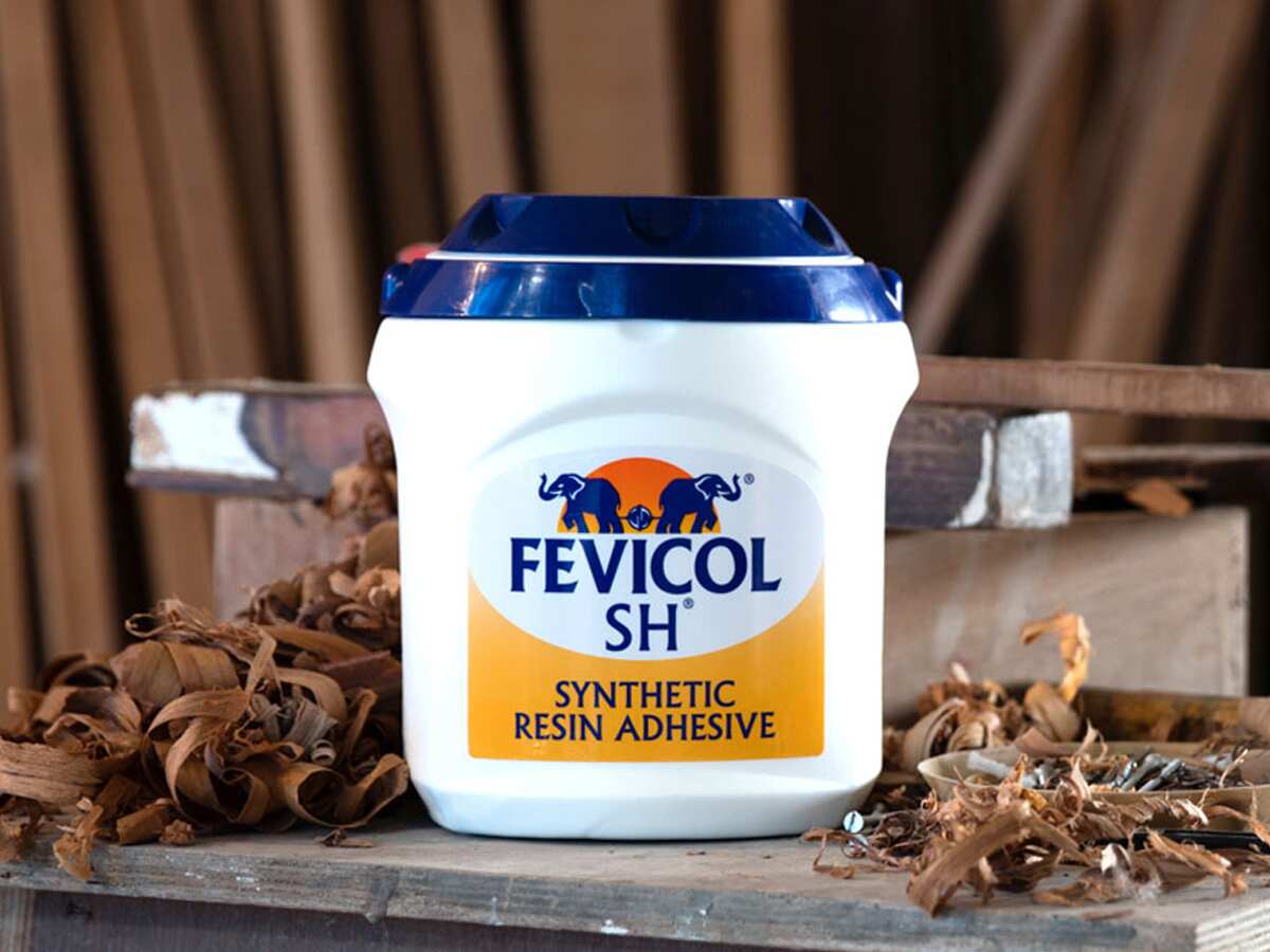 Pidilite stock gets boost after Fevicol maker reports good December-quarter results