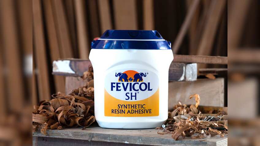 Pidilite stock gets boost after Fevicol maker reports good December-quarter results