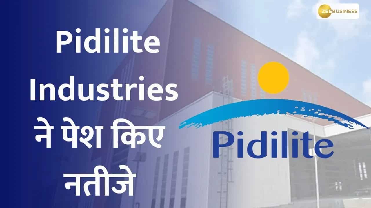 Pidilite Industries | Logopedia | Fandom