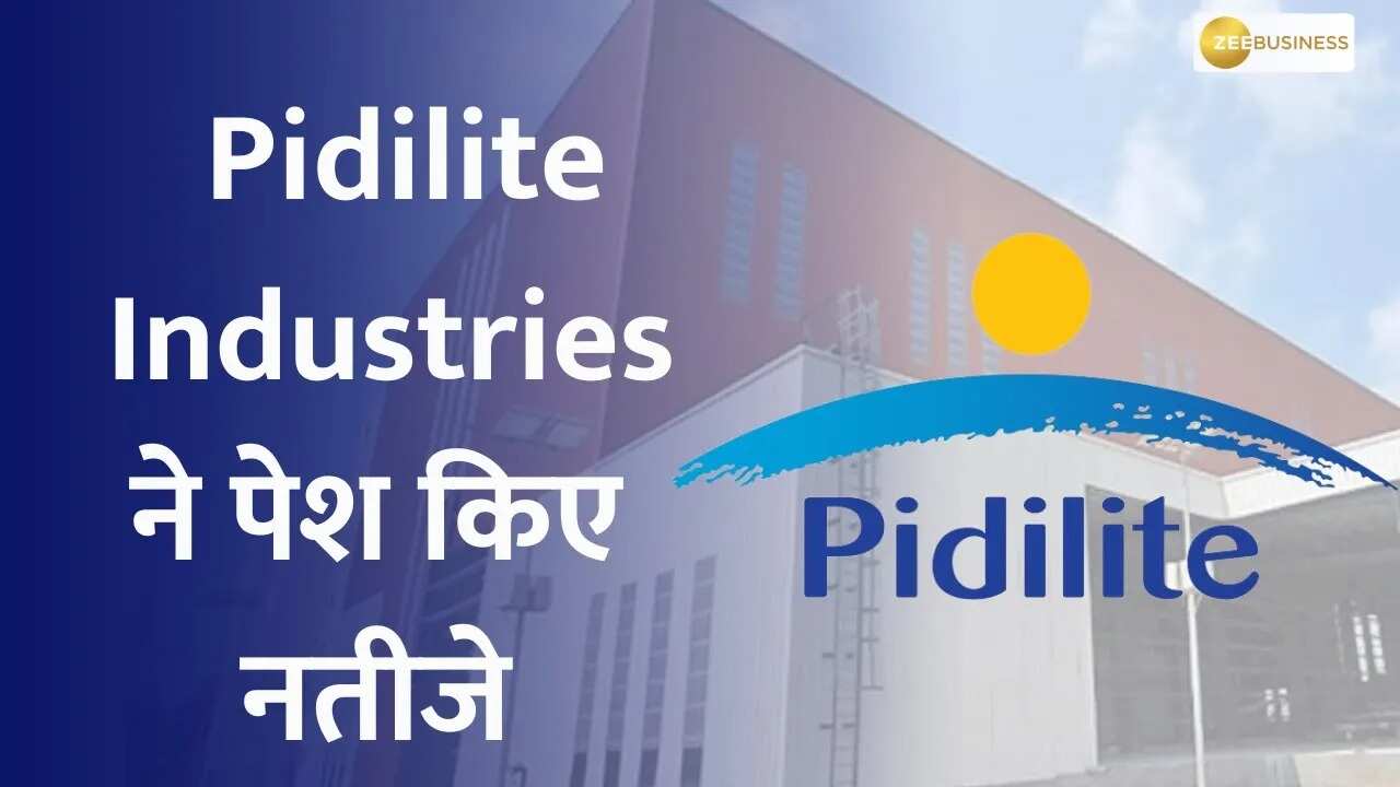 Pidilite Industries Q3 Results Analysis Key Triggers And Focus Areas Pidilite Industries Q3 Results Analysis Key Triggers And Focus Areas