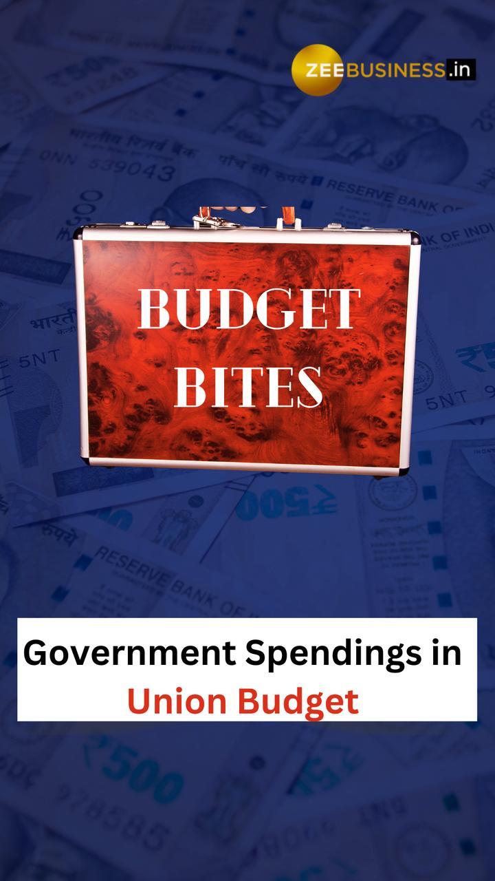 Union Budget 2024 How Government Spends Money From Union Budget