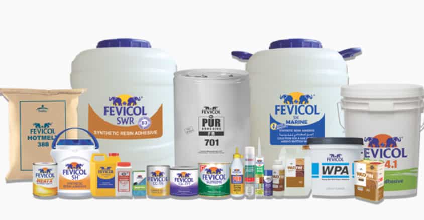 Optimistic about overall growth prospects, see good demand environment: Pidilite MD