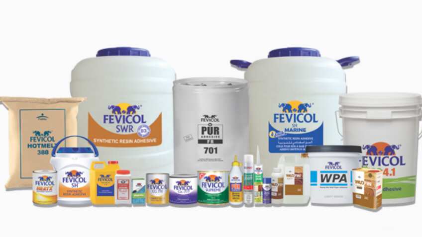 Optimistic about overall growth prospects, see good demand environment: Pidilite MD