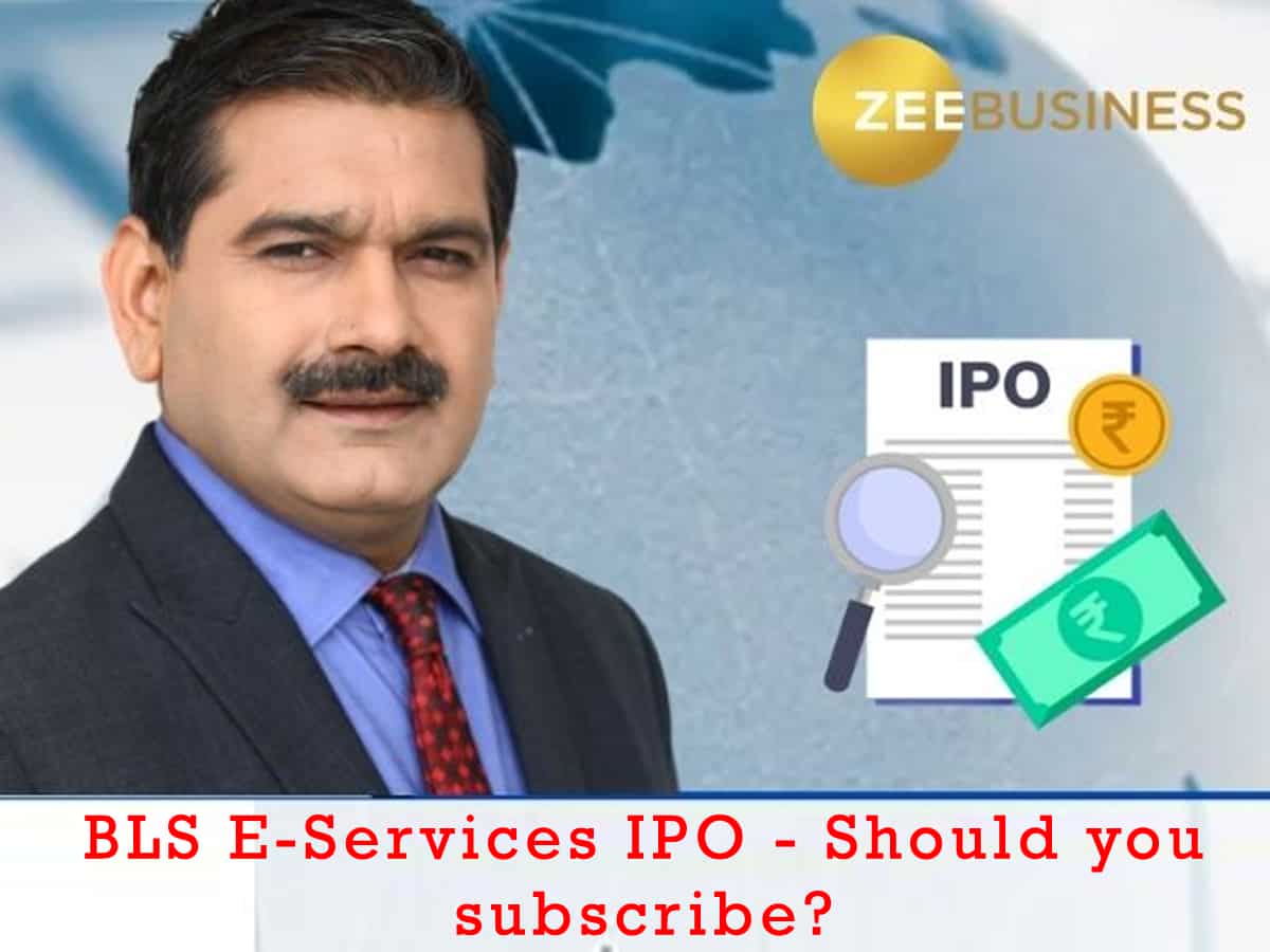 BLS E-Services IPO: Should you subscribe? Check Anil Singhvi's view