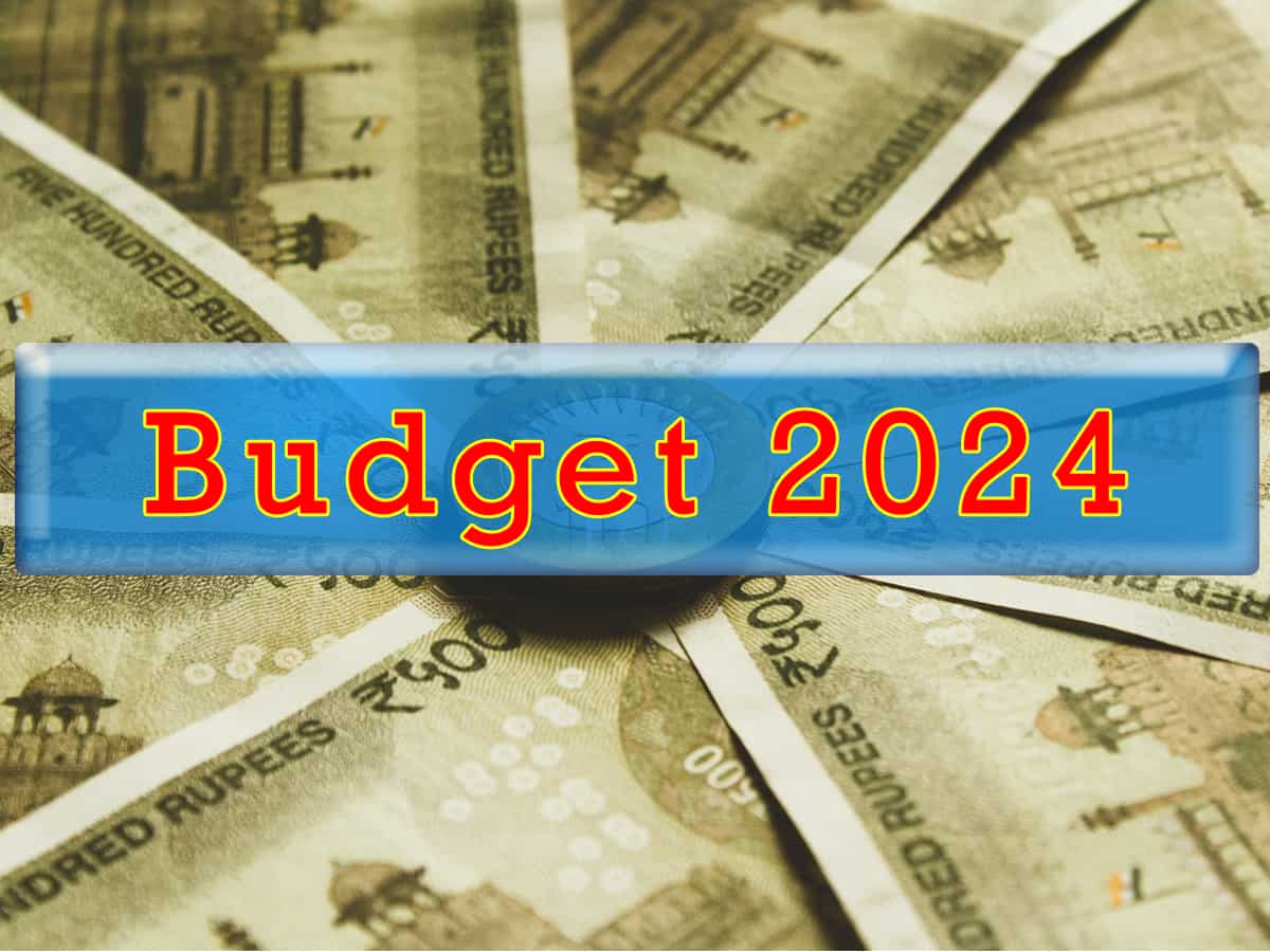 Budget 2024: What do different sectors expect from this Budget? Find out