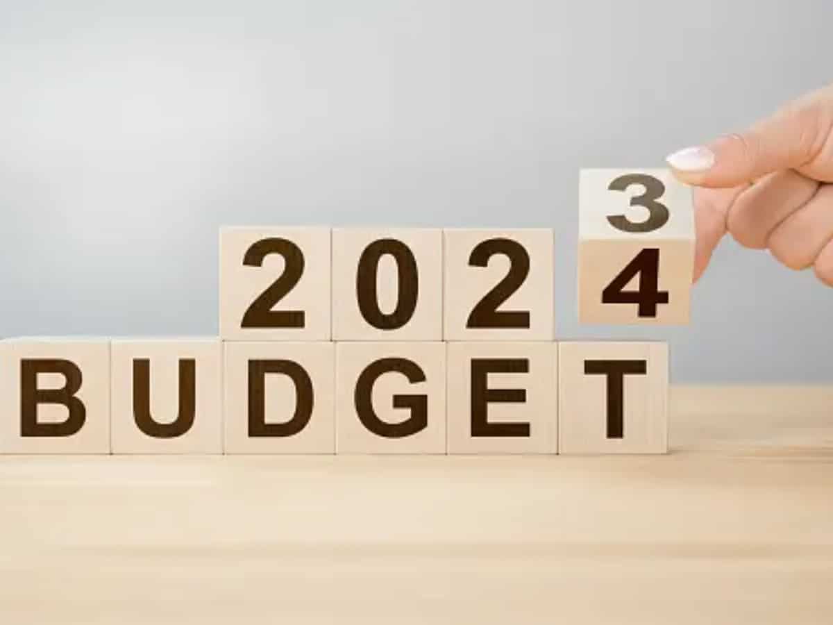 Interim Budget 2024: Date, time and what to expect from FinMin