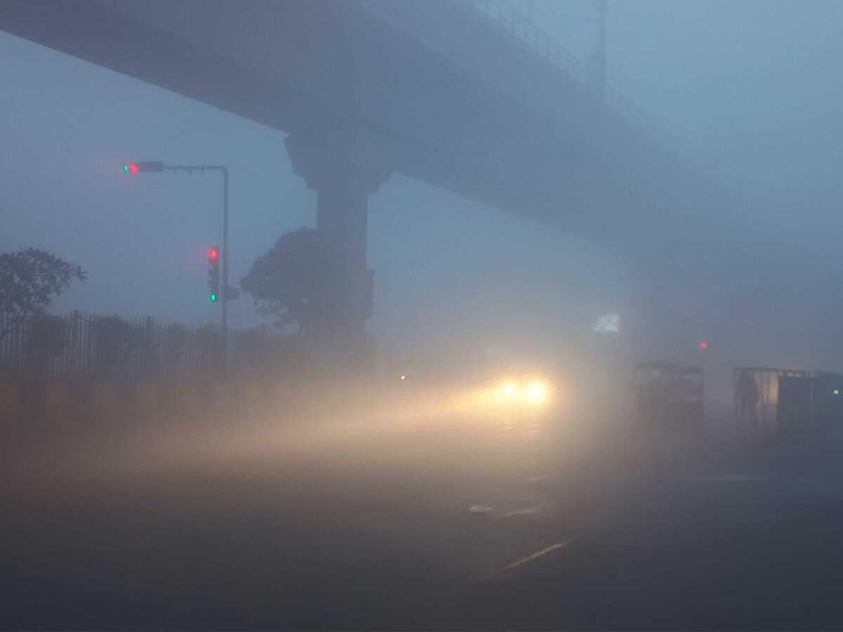 Delhi weather update: City records 7.3 degrees Celsius minimum temperature, dense fog