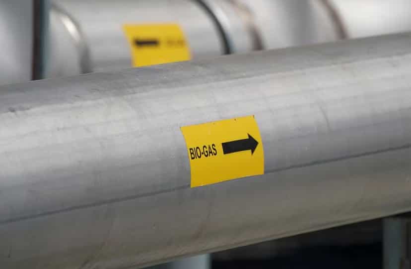 Budget 2024: FM announces financial aid for converting biomass into compressed biogas, phased mandatory blending