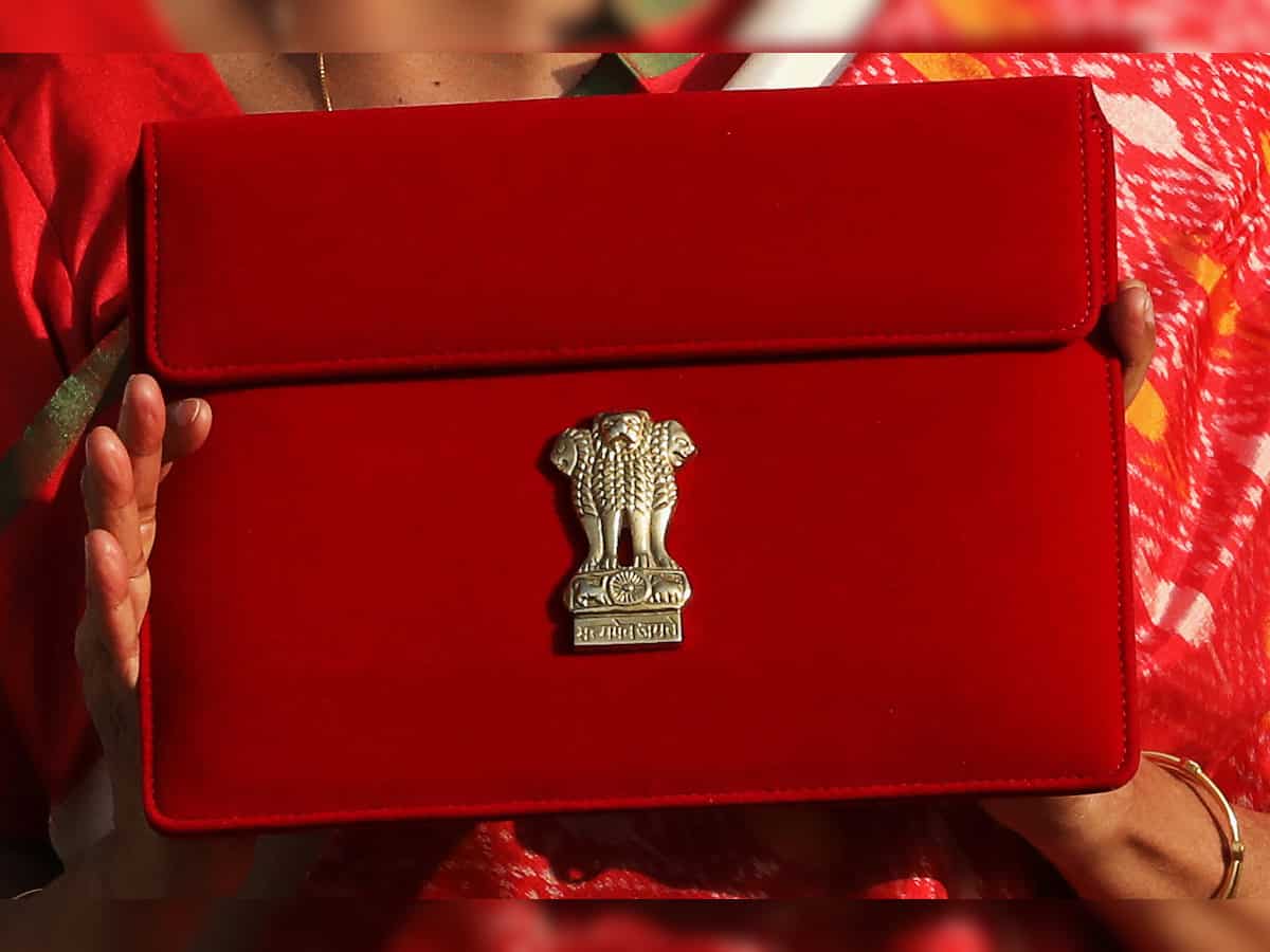 Budget 2024: Sports Ministry gets Rs 45 crore boost in the Olympics year