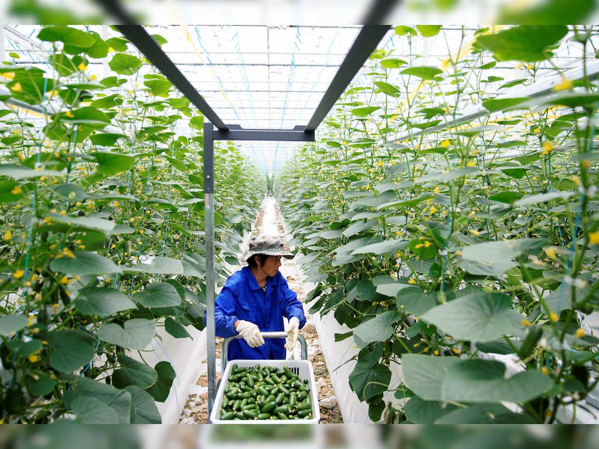 Incofin & Fiedlin invest Rs 60 crore in Kashmir-based horticulture technology enterprise Qul Fruitwall