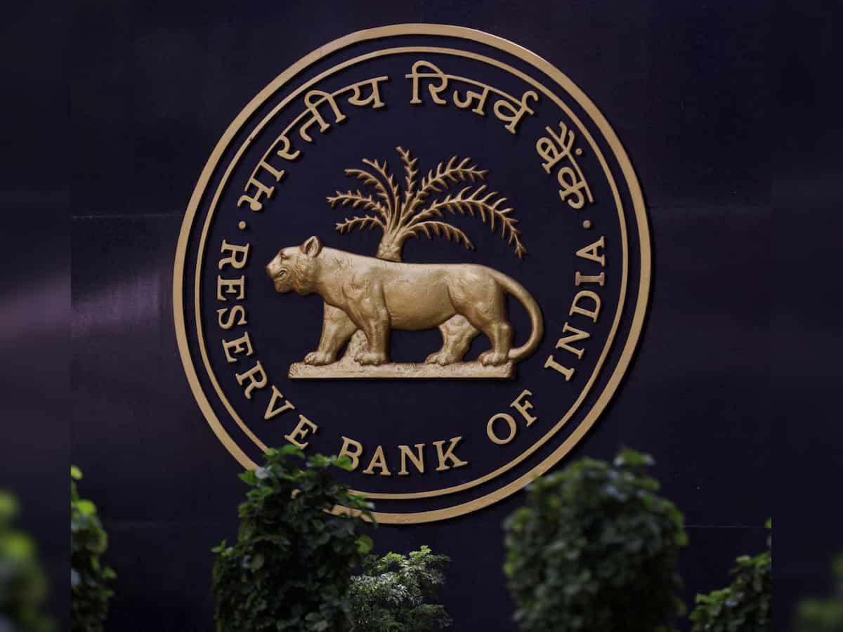RBI projects GDP growth at 7% for 2024-25, sees inflation falling to 4.5%