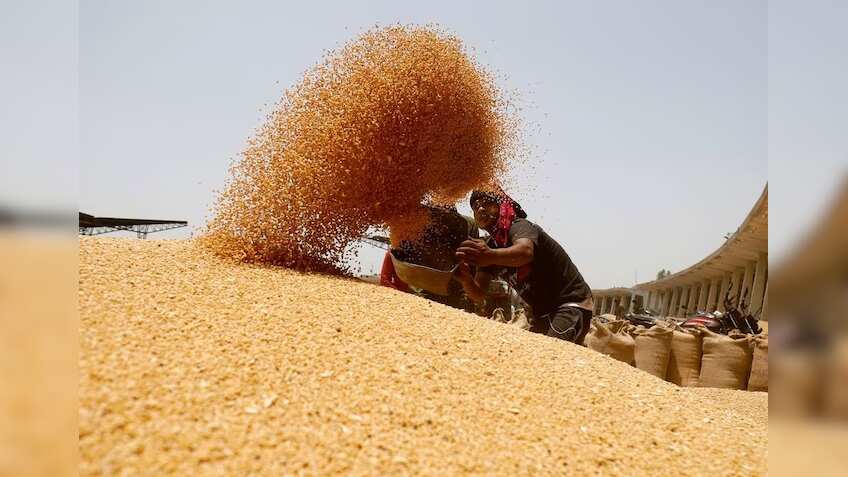 PM Garib Kalyan Ann Yojana: More than 80 crore people getting food grains free of cost, says Centre