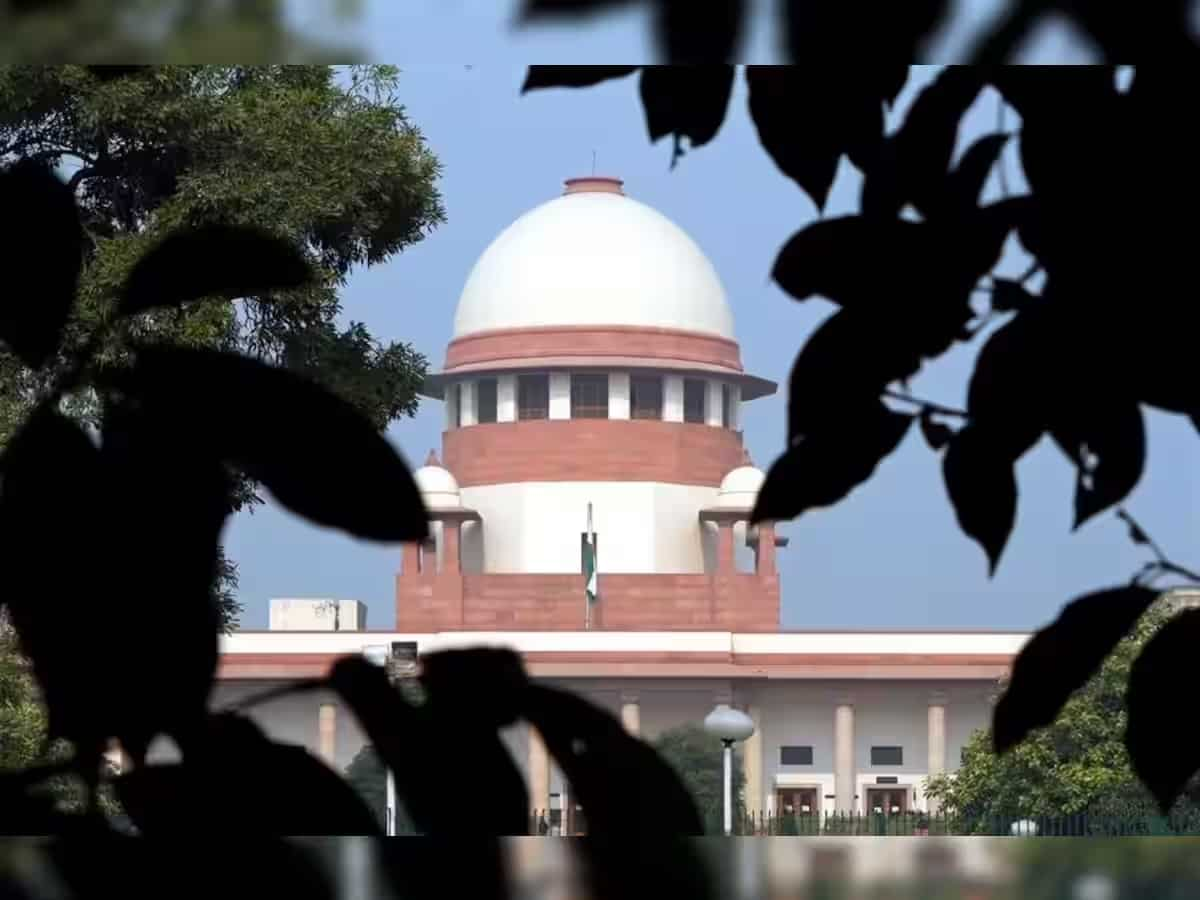 Adani-Hindenburg case: Plea in Supreme Court seeks review of January 3 verdict