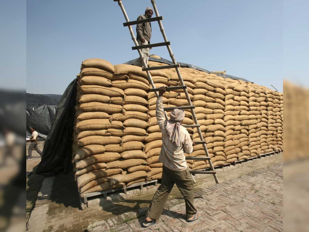 Government doubles FCI's authorised capital to Rs 21,000 crore in big boost to farm sector